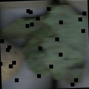 Dataset Image