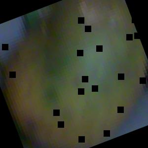 Dataset Image