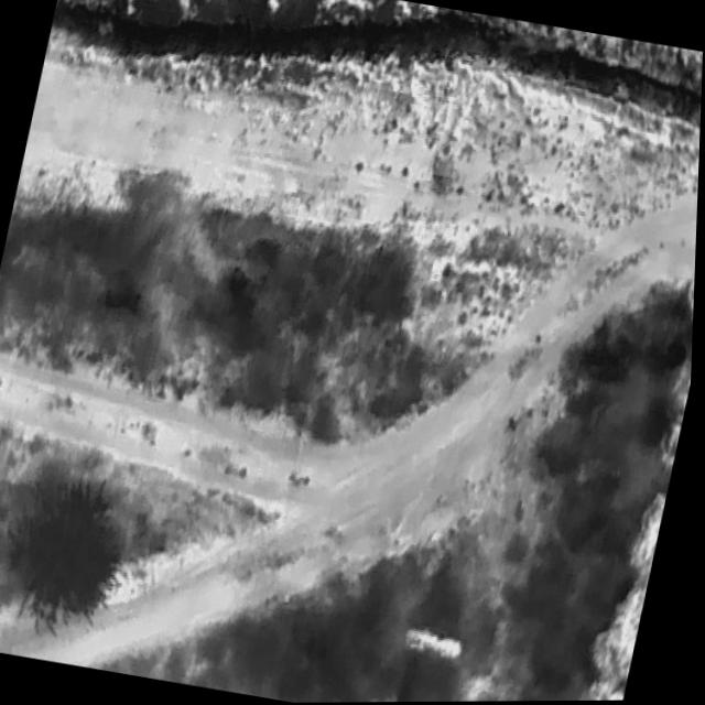 Dataset Image