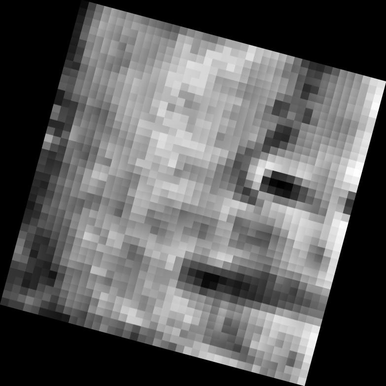 Dataset Image