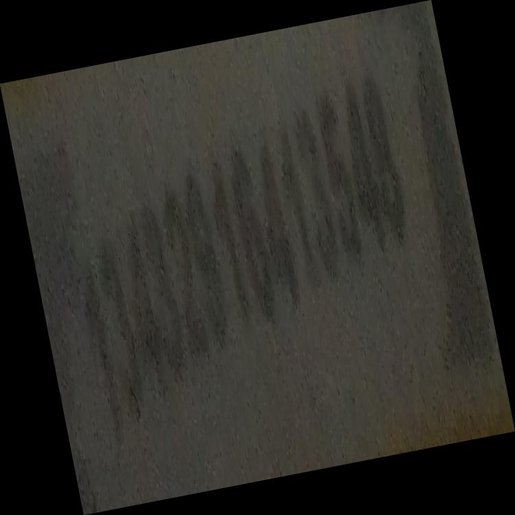 Dataset Image