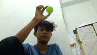 Dataset Image