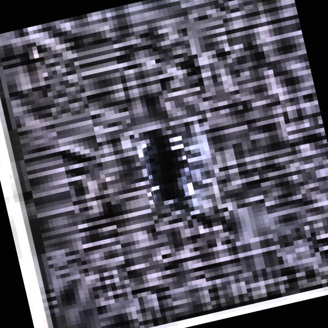 Dataset Image