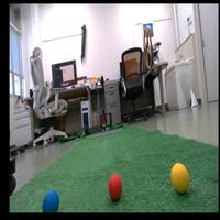 Dataset Image