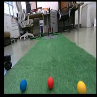 Dataset Image