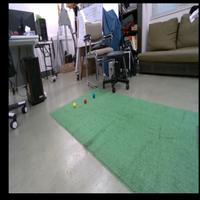 Dataset Image