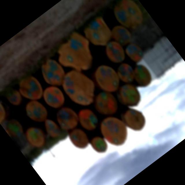 Dataset Image