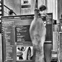 Dataset Image