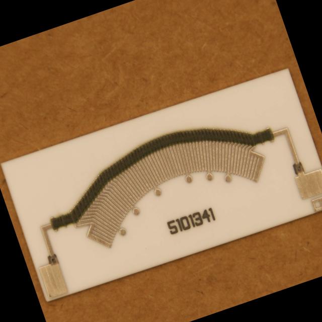 Dataset Image