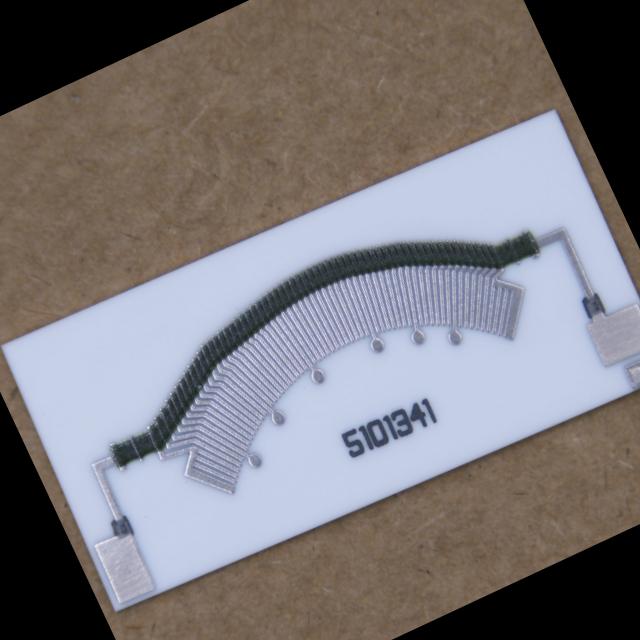 Dataset Image