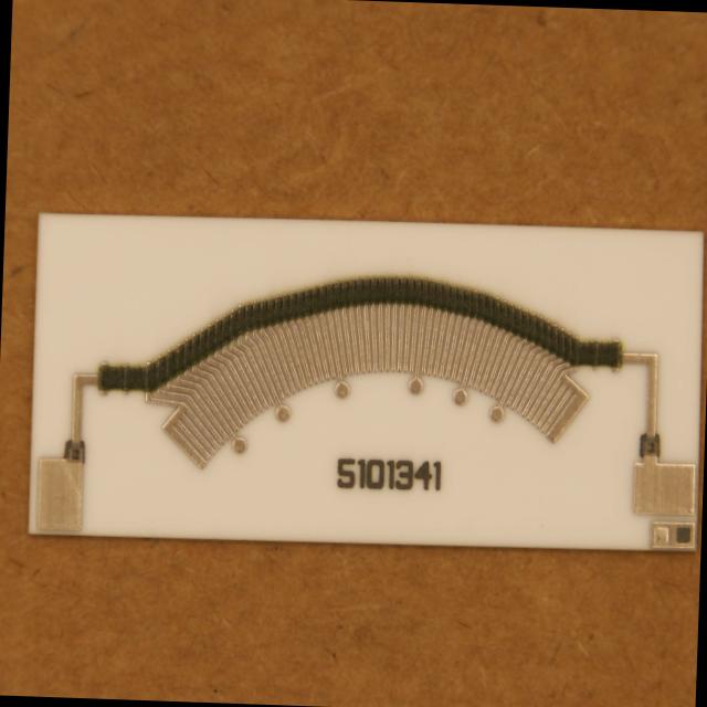 Dataset Image