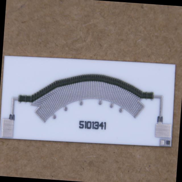Dataset Image