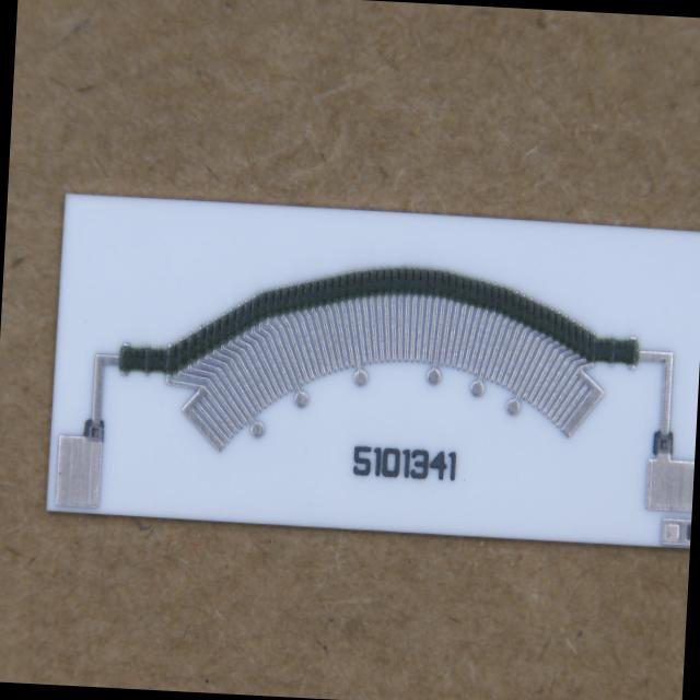 Dataset Image