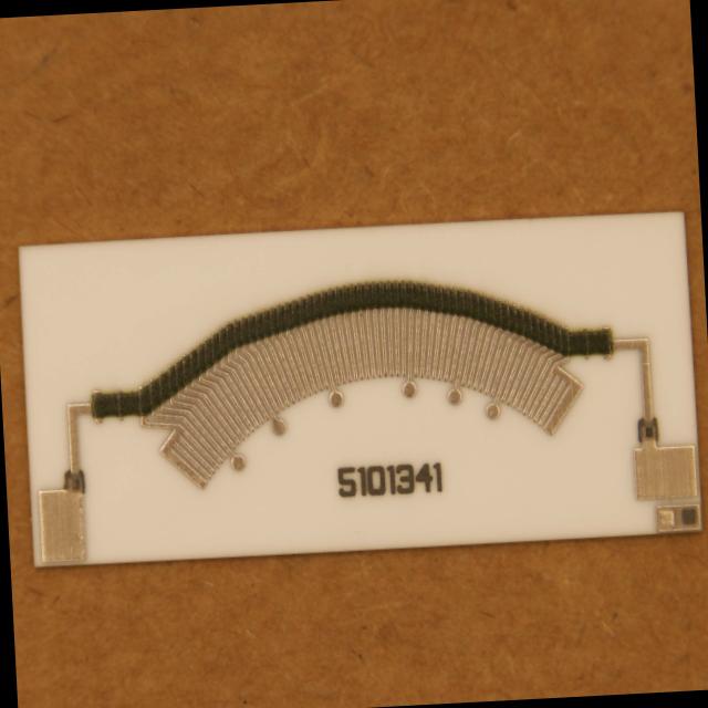 Dataset Image