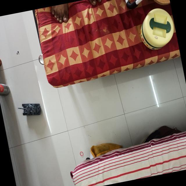 Dataset Image