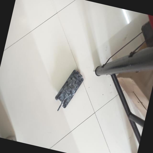 Dataset Image