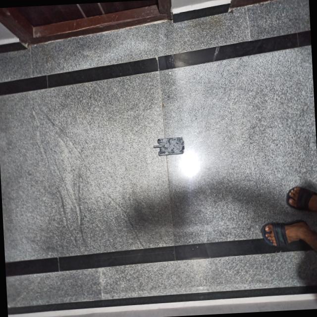 Dataset Image