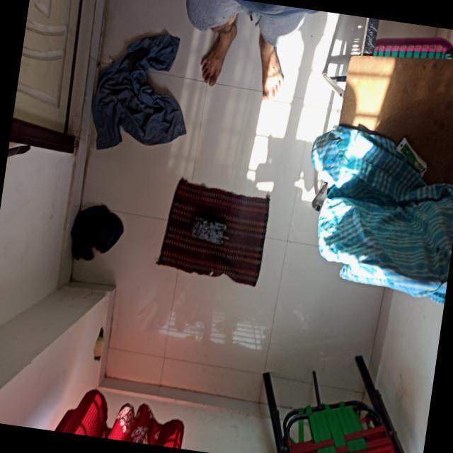 Dataset Image
