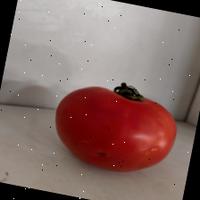 Dataset Image