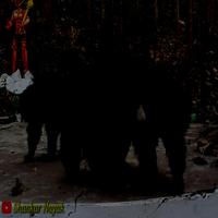 Dataset Image