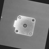 Dataset Image
