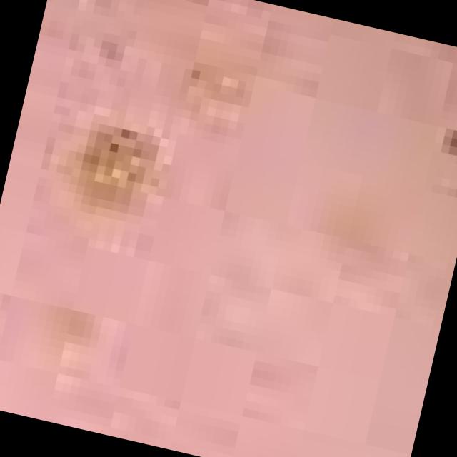 Dataset Image