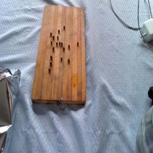 Dataset Image