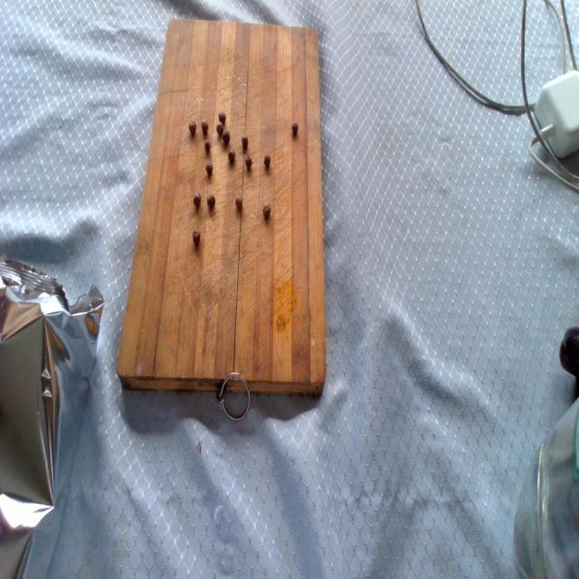Dataset Image