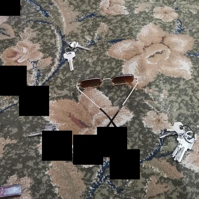 Dataset Image