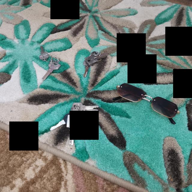 Dataset Image