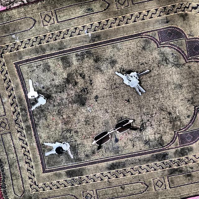 Dataset Image