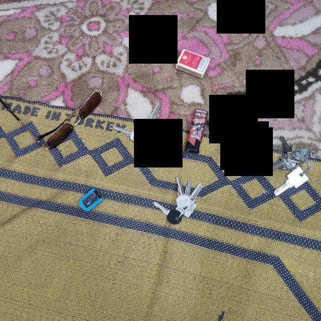 Dataset Image