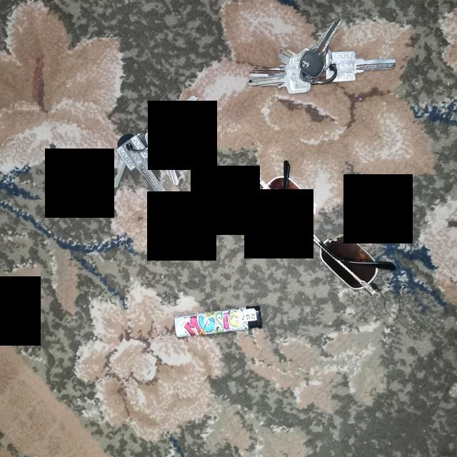 Dataset Image