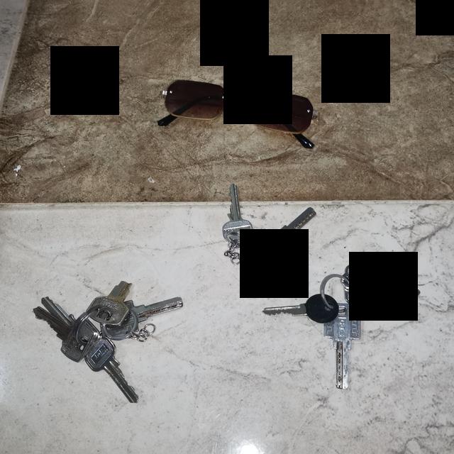 Dataset Image