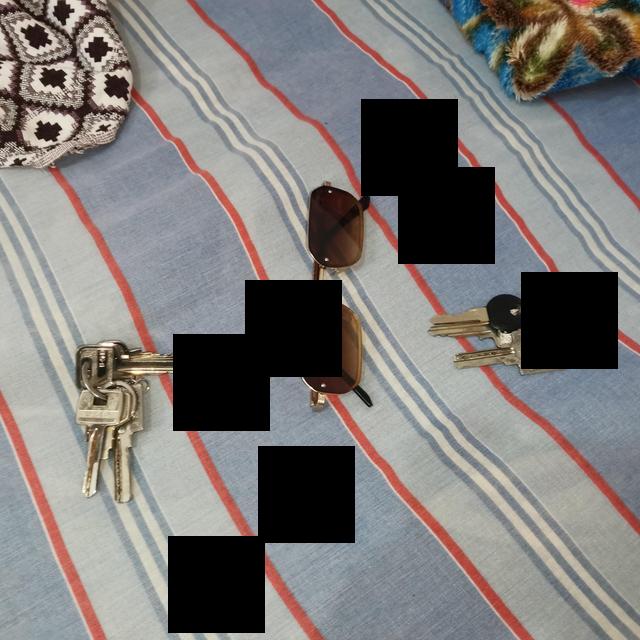 Dataset Image