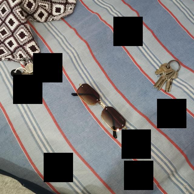 Dataset Image