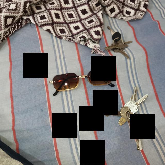 Dataset Image
