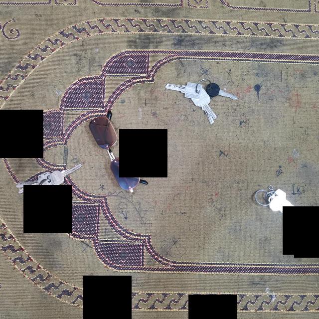 Dataset Image