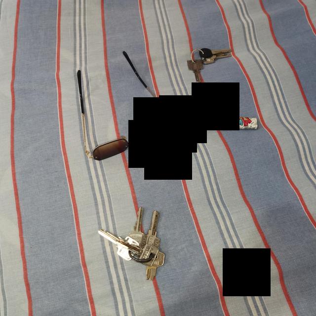 Dataset Image