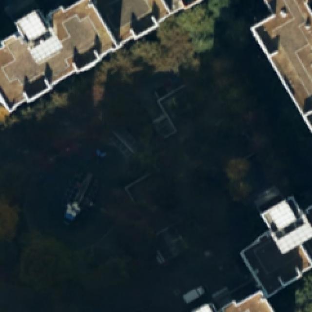 Dataset Image