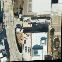 Dataset Image