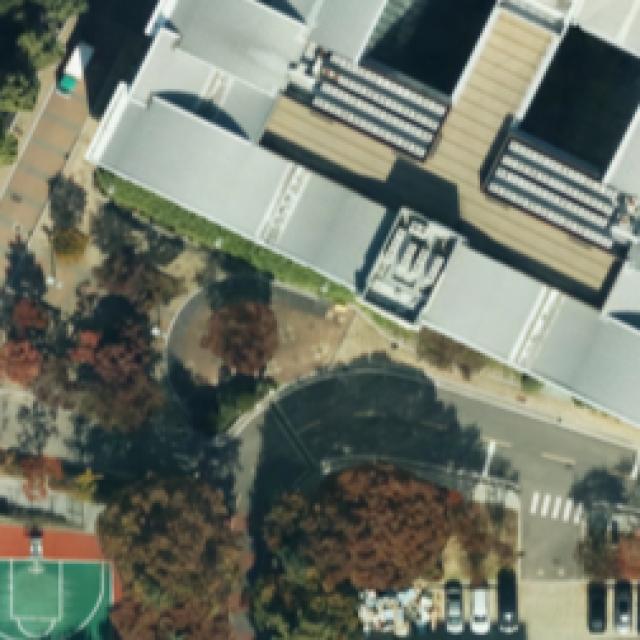 Dataset Image