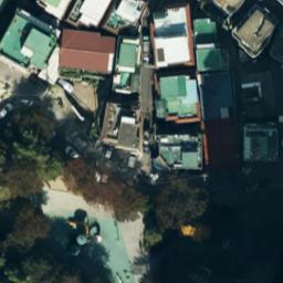 Dataset Image