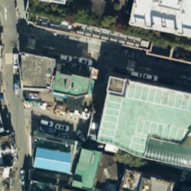 Dataset Image