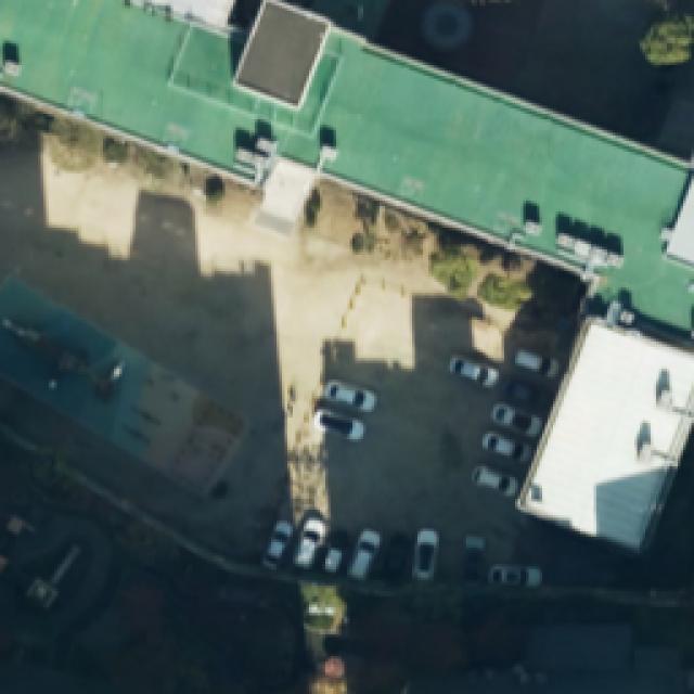 Dataset Image