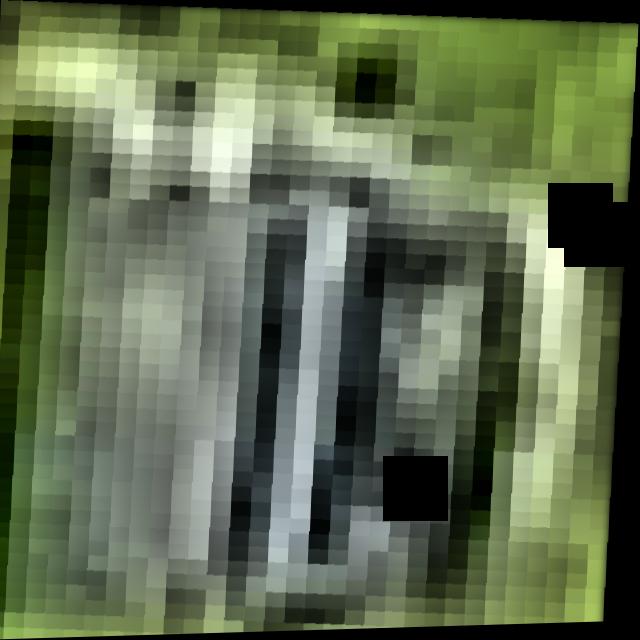 Dataset Image