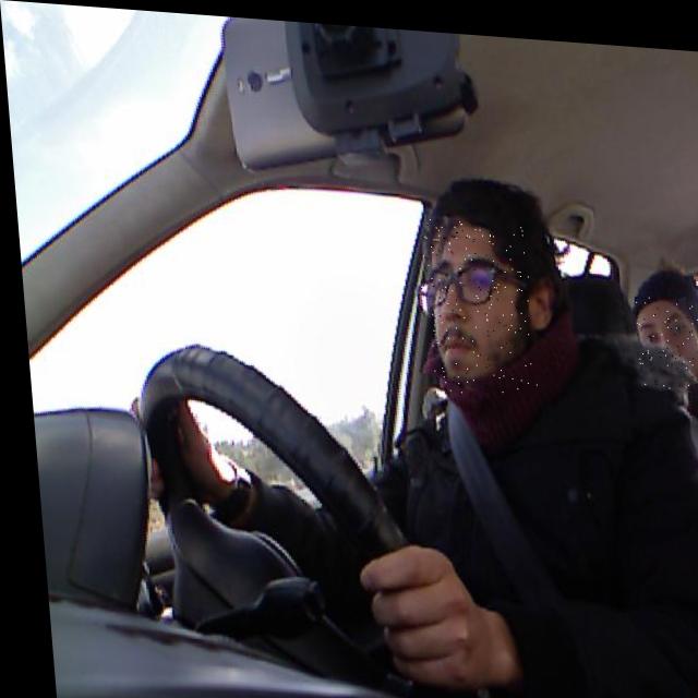 Dataset Image