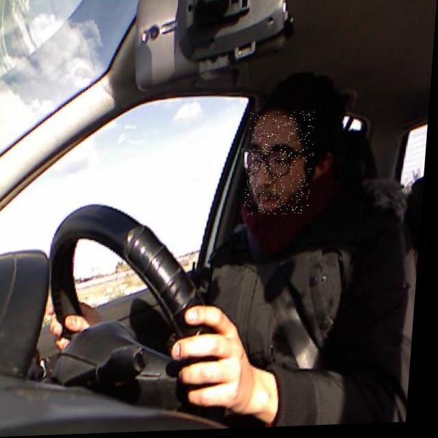 Dataset Image
