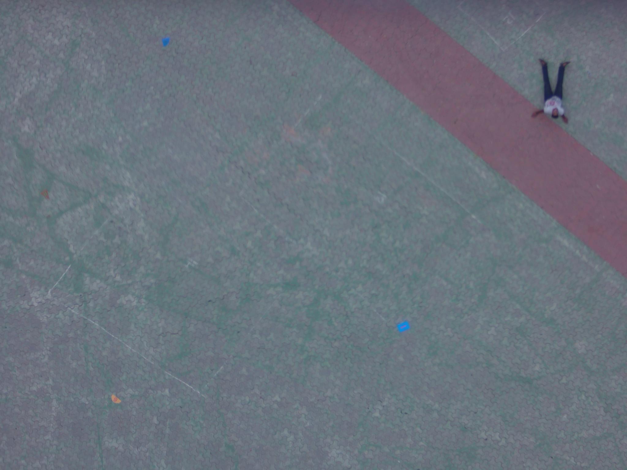 Dataset Image