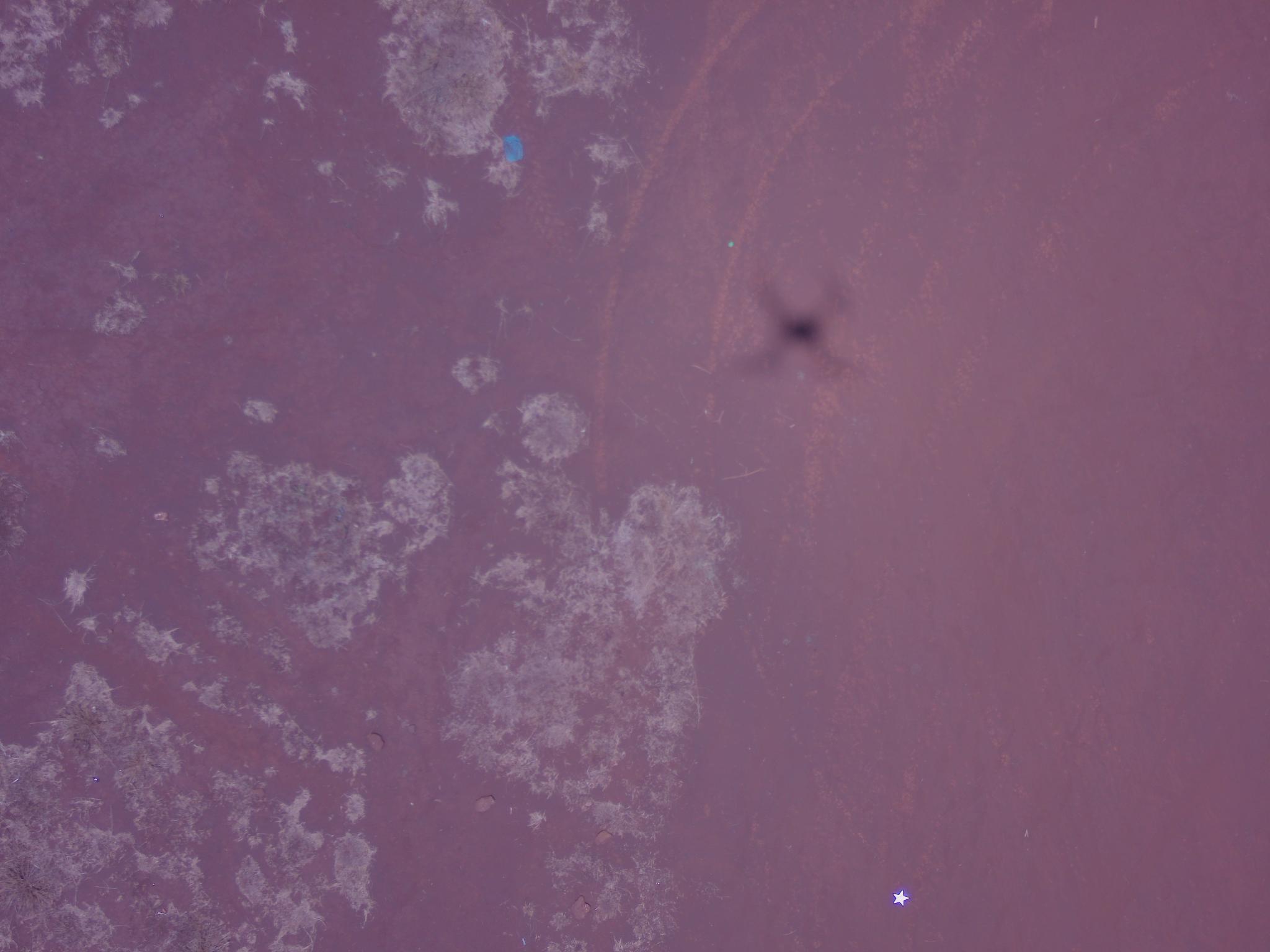 Dataset Image
